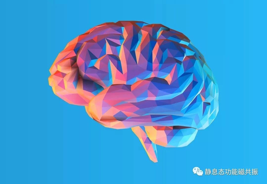 第23期免费培训：基于扩散磁共振的微结构成像方法与临床应用及静息态相关技
