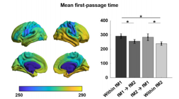 NeuroImage：沿着结构连接梯度的信号扩散和连接枢纽节点间通信策略对大脑动态