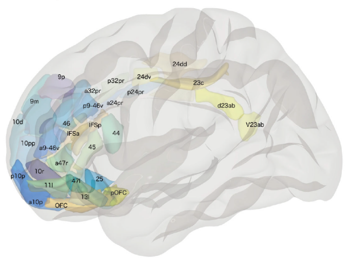 Translational Psychiatry：将PTSD症状映射到脑网络：一项机器学习的研究